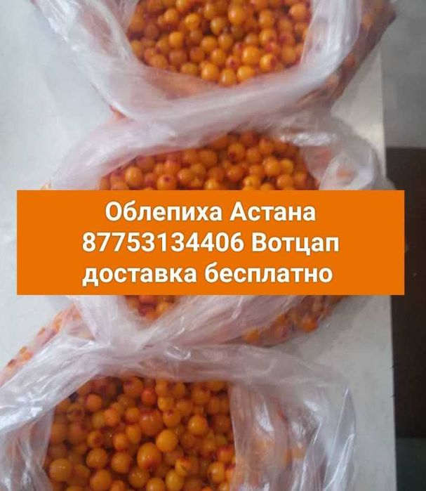 Облепиха Облепиха Облепиха