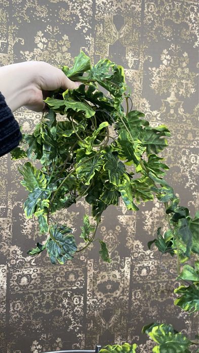 Продам искусственные растения