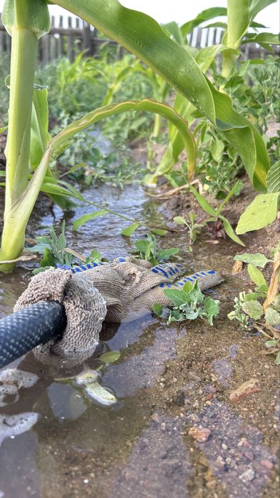 Продается дача 12 соток