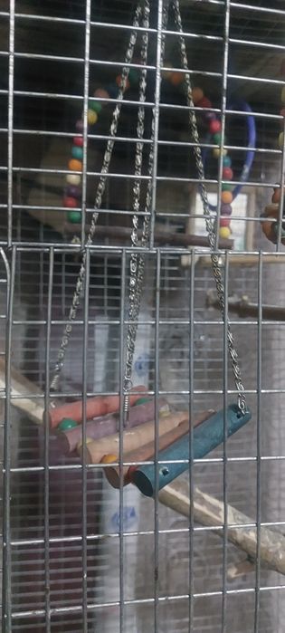 Клетка для Попугая