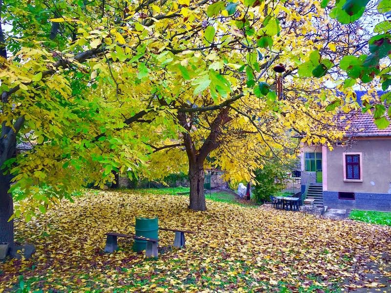 Продава се Къща в с. Румянцево, Област Ловеч - 150 кв.м за 527 €/кв.м - Снимка #19