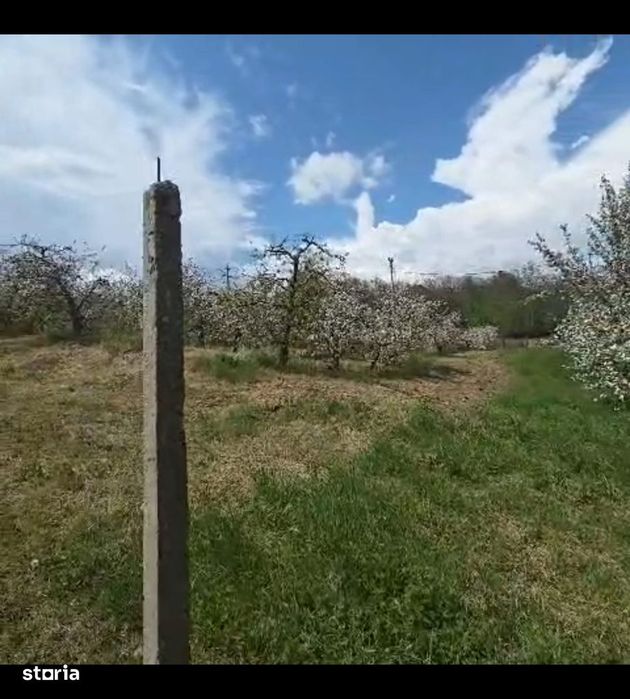 Teren 2721mp Breaza Prahova - Intravilan, Zona Exclusivista, Casa/Vila