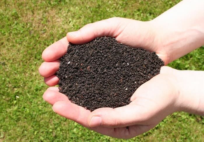 Bio gomus тозаси