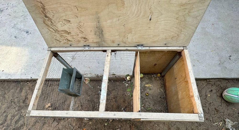 Quyon ini sotiladi raddomli