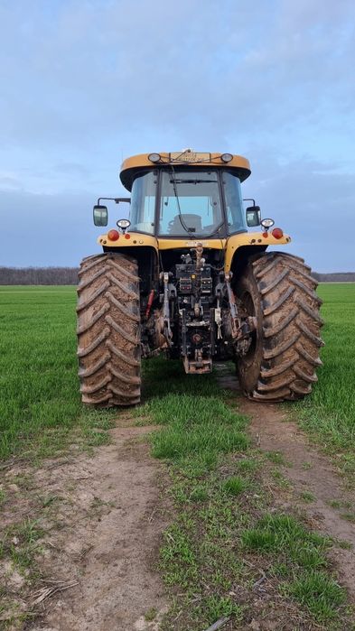 Vand tractor Challenger MT645B
An fabricație 2010