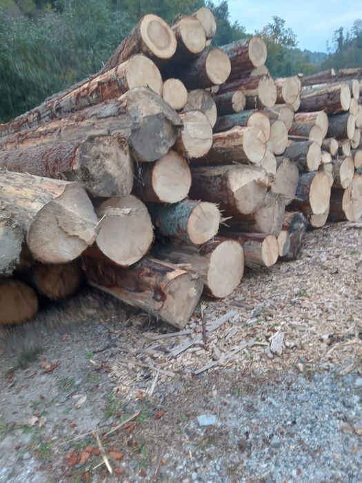 cherestea direct de la producător fără intermedieri!!!