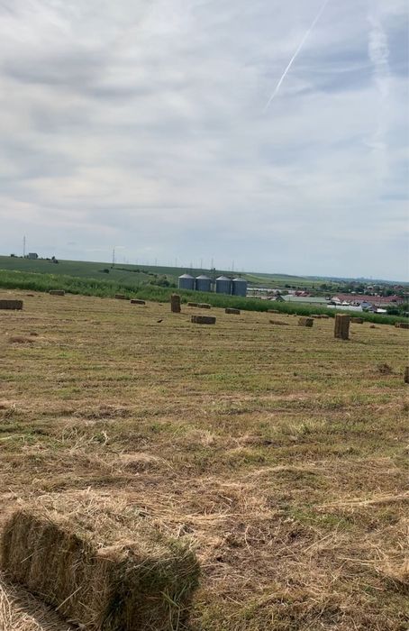 Baloti de lucerna cu iarbă