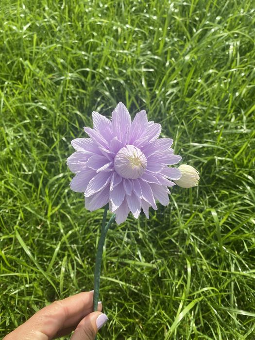 Aranjamente florale din hartie floristica