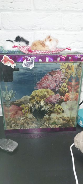 Продам аквариум полностью укомплектованный