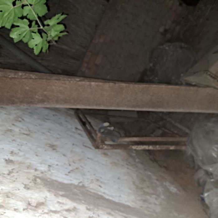 Карыто мал уй хайвонлар ушин