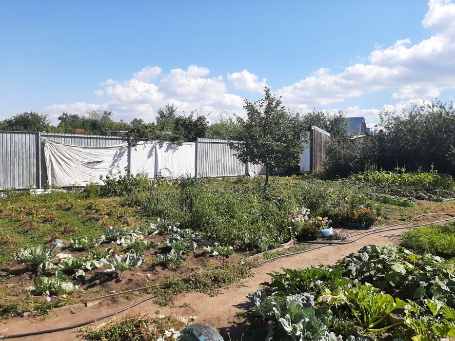 Продам дачу Мелиаратор