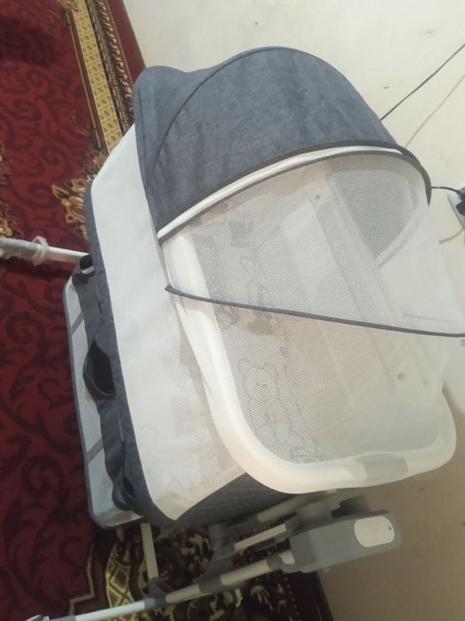 Yulka yengi tutilmgan