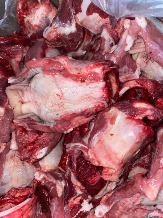 Калтыки мясо для собак