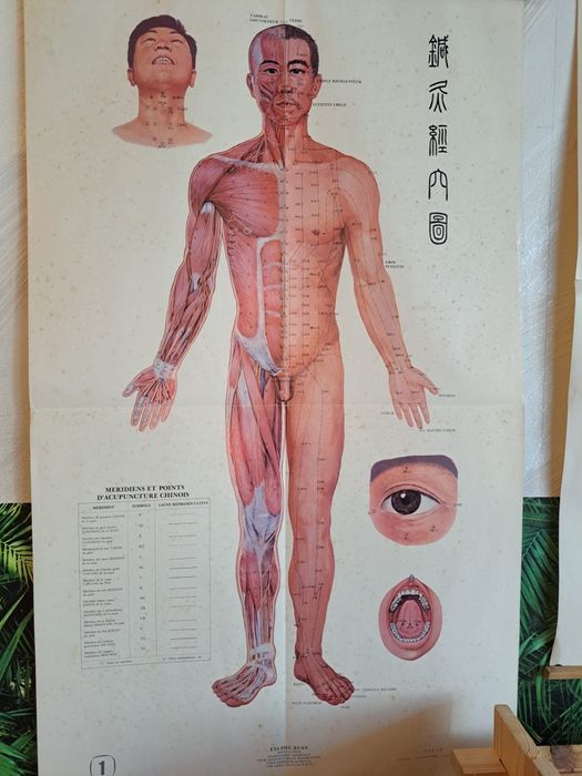 Postere medicina germanica, acupunctura, terapie