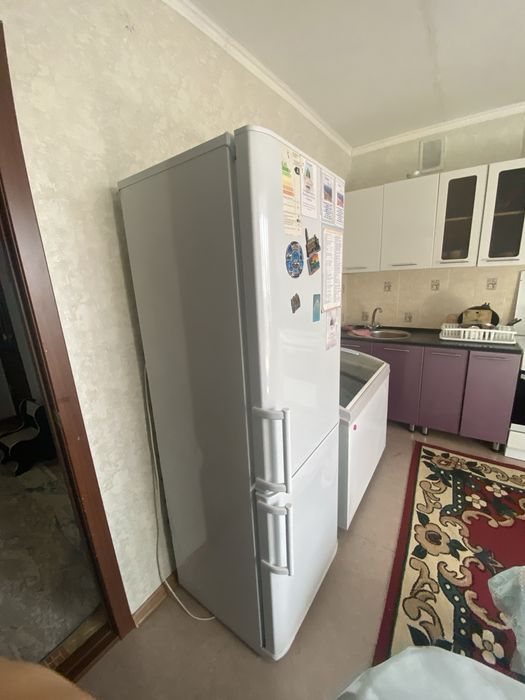 холодильник без фреона