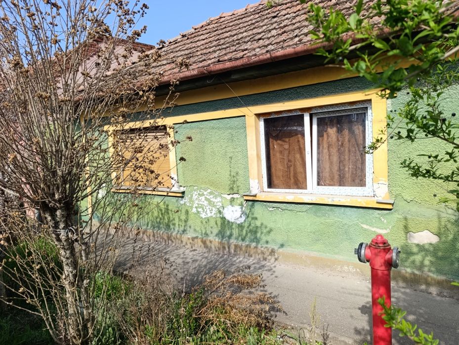Casă Oradea Nufarul