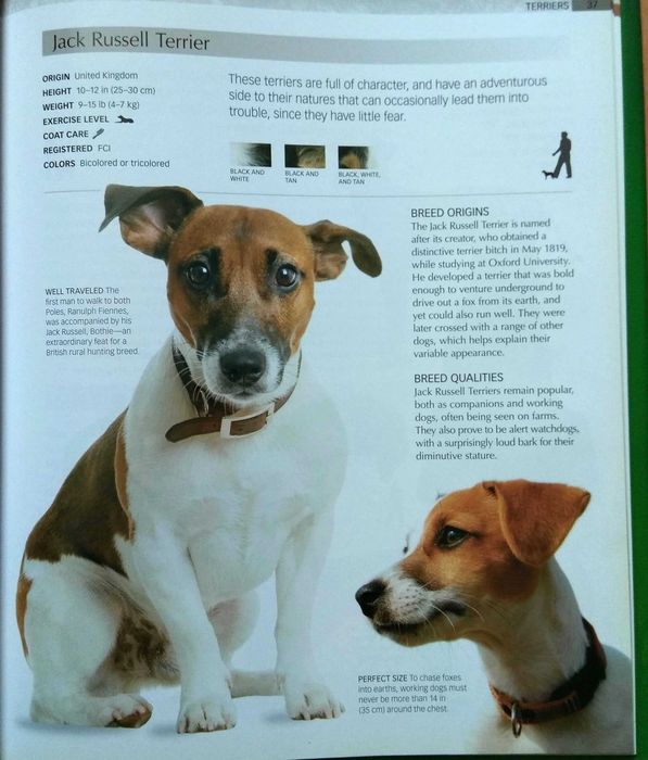 Най-доброто ръководство за над 100 породи кучета (на английски език)