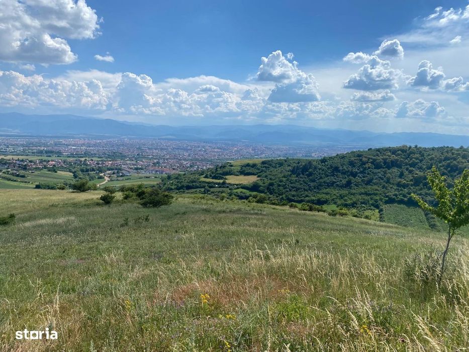 Teren Gusterita, posibilitate parcelare dupa preferinte