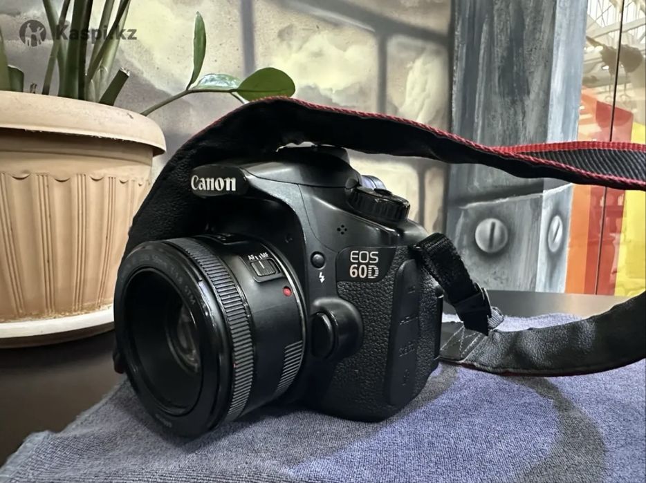 Canon 60D 50mm 1.8 STM