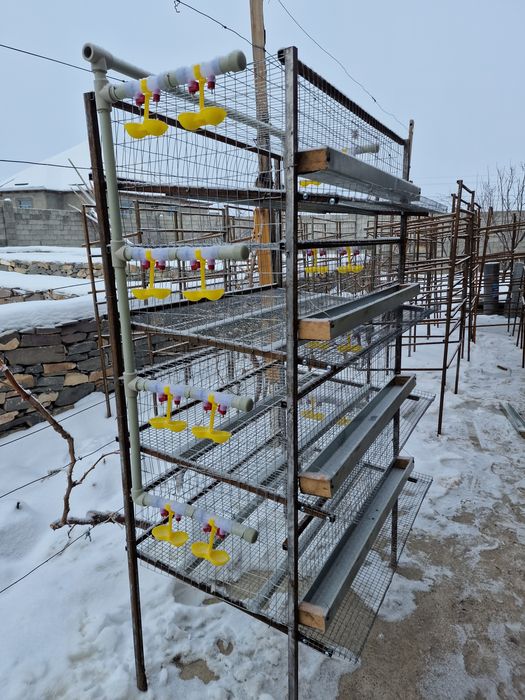 Бөденеге Клетка для перепелов