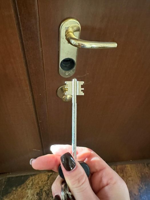 Lacatus Deblocari Si Reparatii Usi Metalice/Termopan
