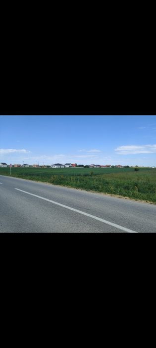 Teren intravilan 2.888 mp Bucovăț drum asfaltat Lângă Timișoara