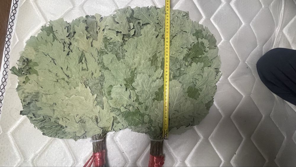 Дубовые веники для бань