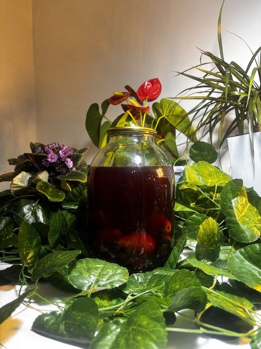 Домашные компоты