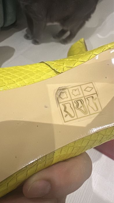 Туфли кожаные. Баскони, Чойс