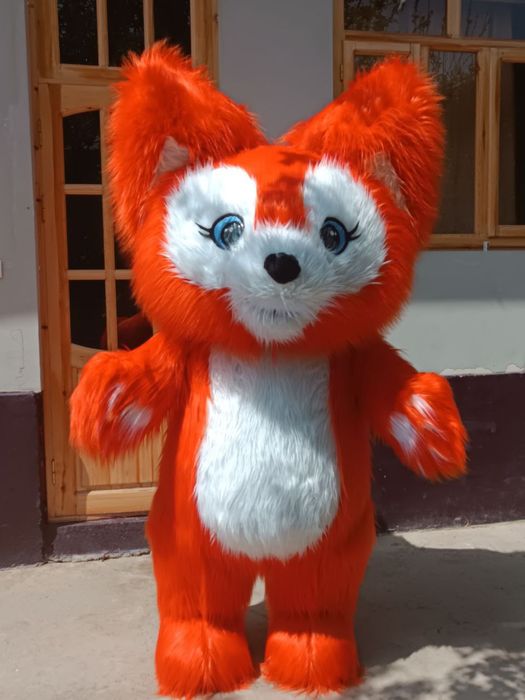 Kotta Ayiqlar sotilad