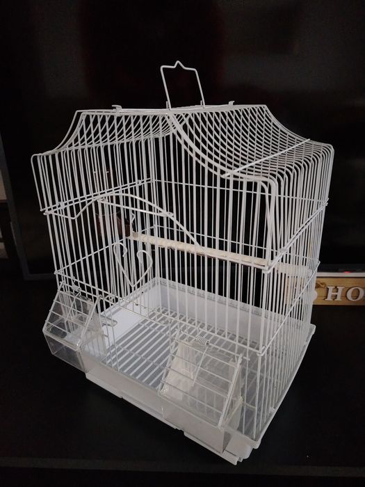 Colivie papagali / perusi