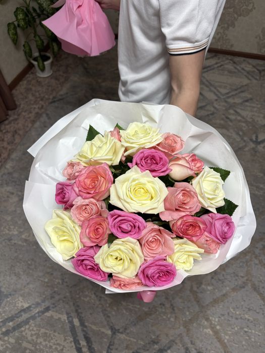 Продам цветы не дорого