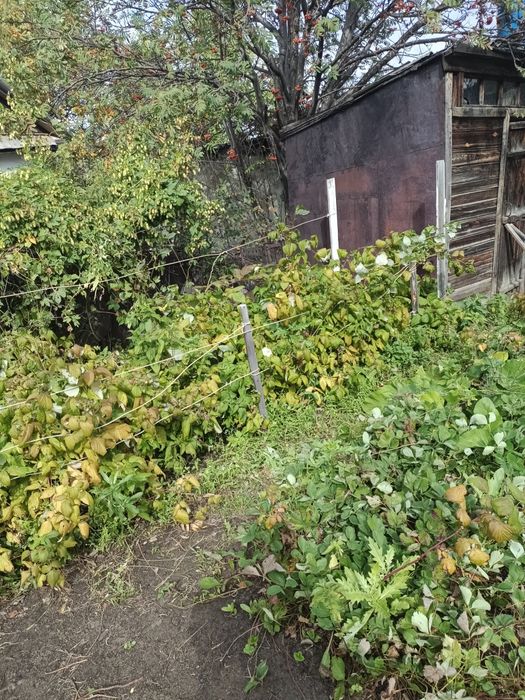Продается дача с/о геолог
