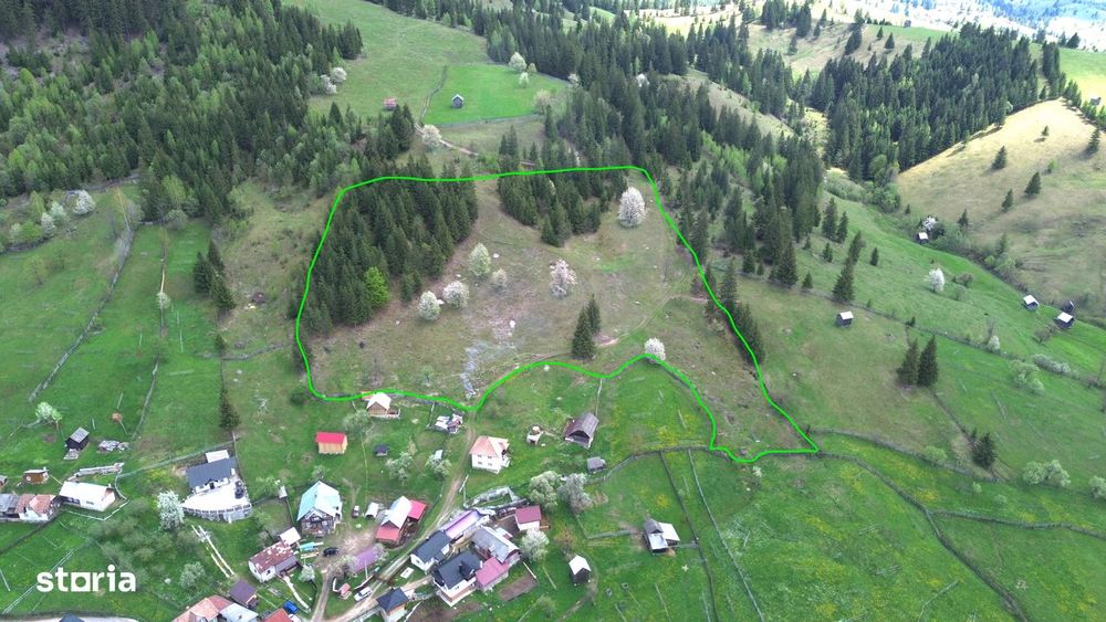 Teren 1.29 ha + 1 ha pădure, acces ușor