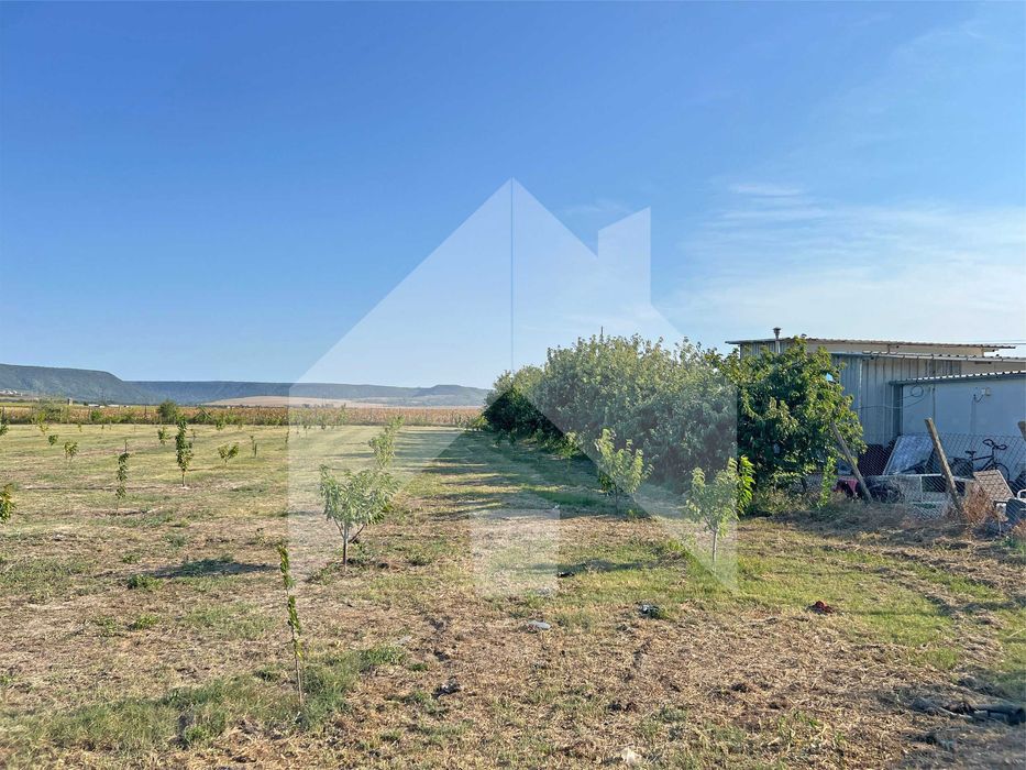 Продава се Земеделски имот в Нови пазар -  кв.м за 3643 €/дка - Снимка #7