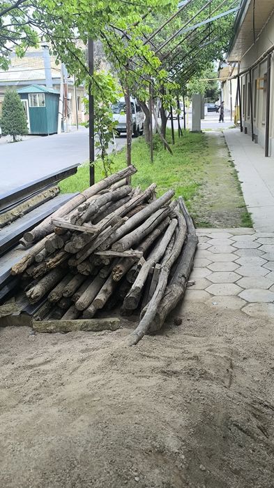 утунга болорчалар сотилади