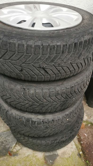 roti de iarna suzuki