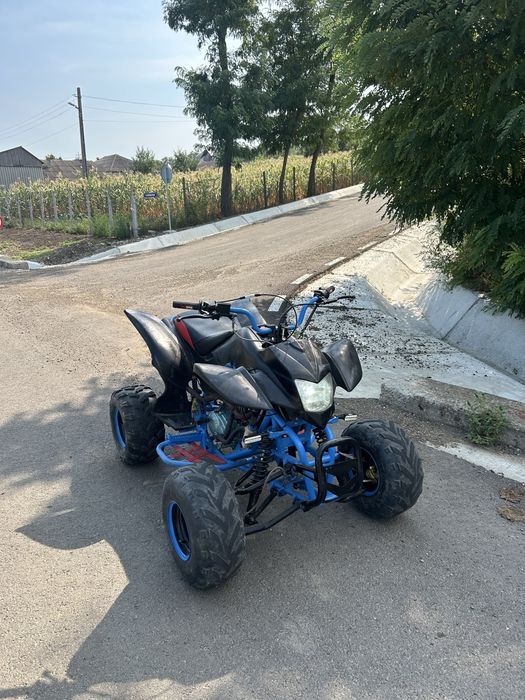 Vand atv bashan 250 motor zoncshen