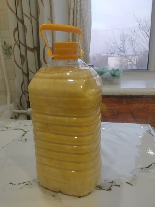 Мёд, подсолнечный