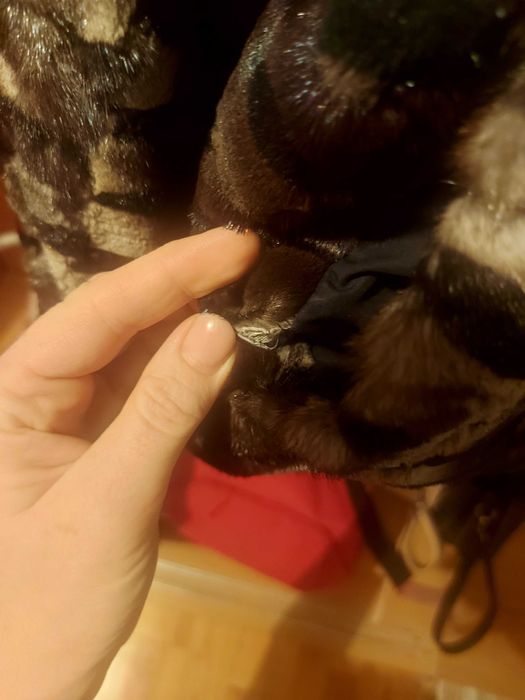 Продам норковую шубку