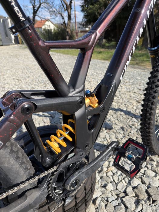 Specialized demo race 2023