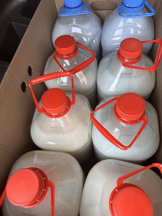 Оптом кымыз шубат саумал