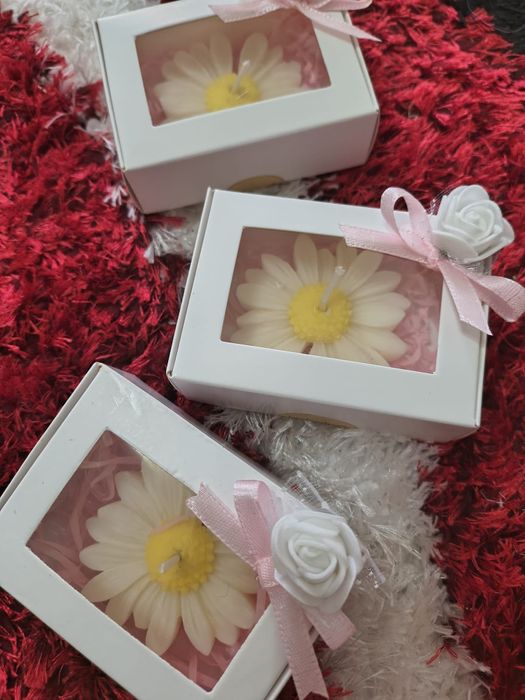 Mărturii din ceară de soia