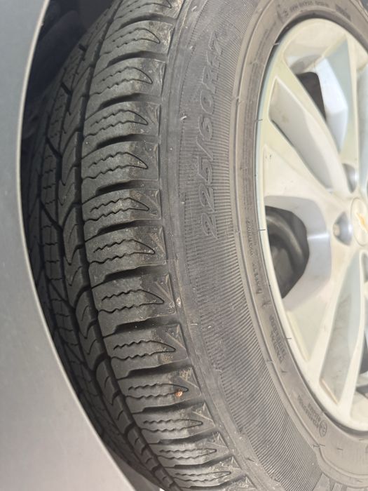 Орландо 2017 енг фули