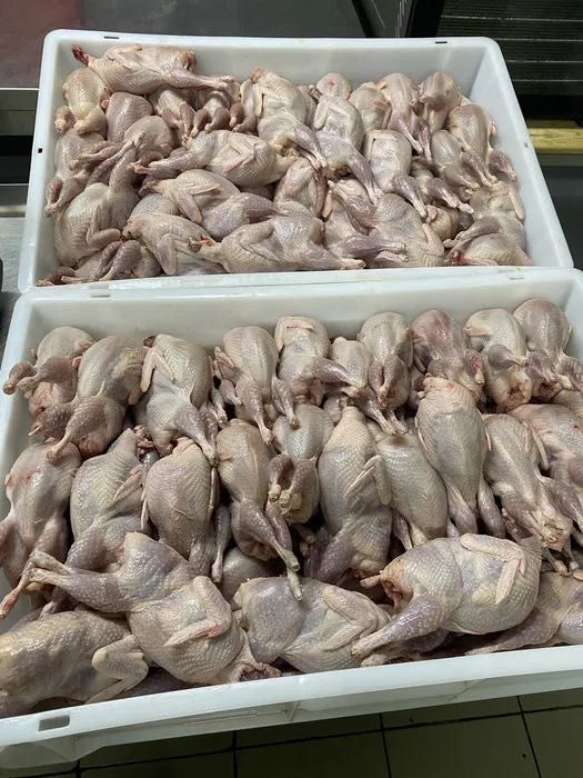 Перепелиные тушки