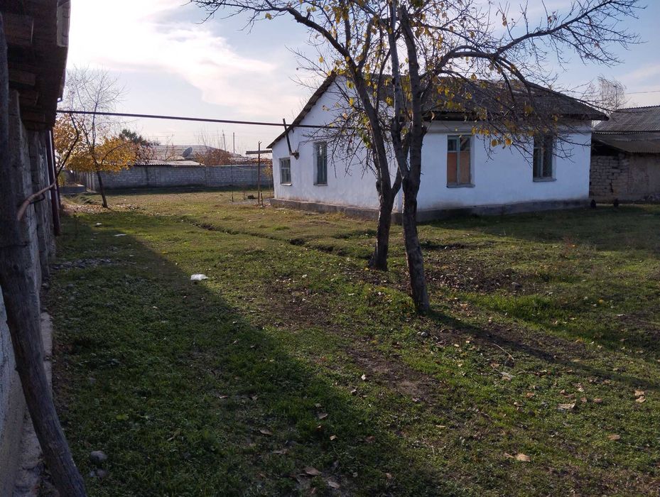 Авангард двадцать летда ховли сотилади. Avangard. Food City.