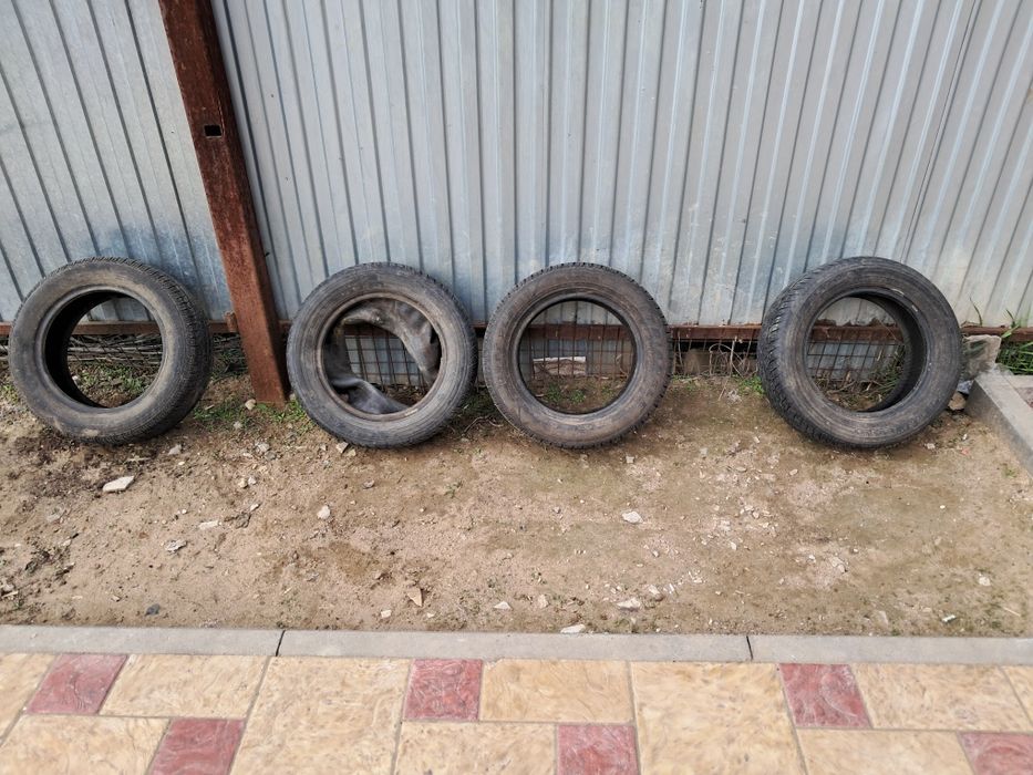 Продам летрие шины