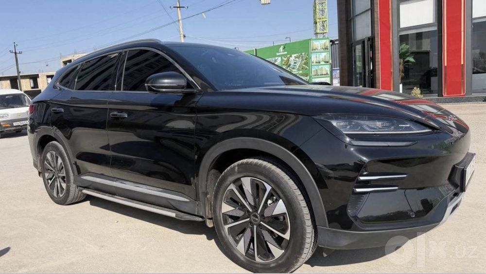 Byd Chempion Restayling 2025
