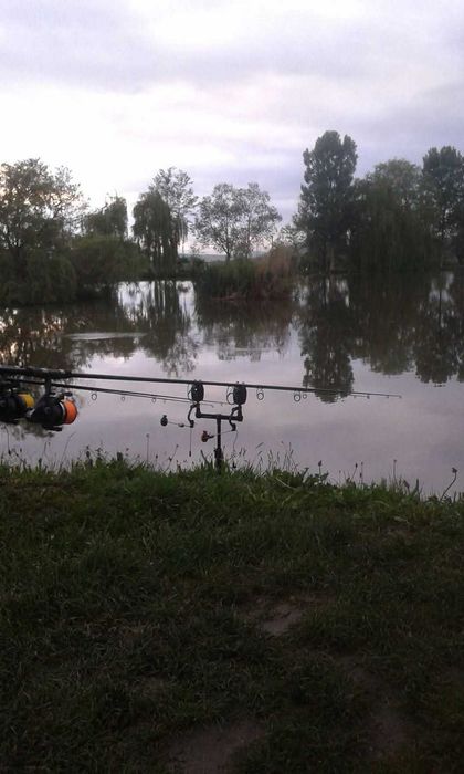 Vand balta pescuit jud Sibiu