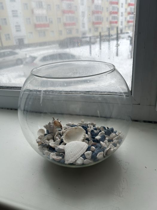 Аквариум для маленьких рыбок